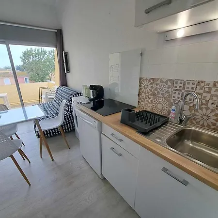 Lumineux Avec Terrasse, Proche Et Commodites, Marseillan-plage - Fr-1-326-821